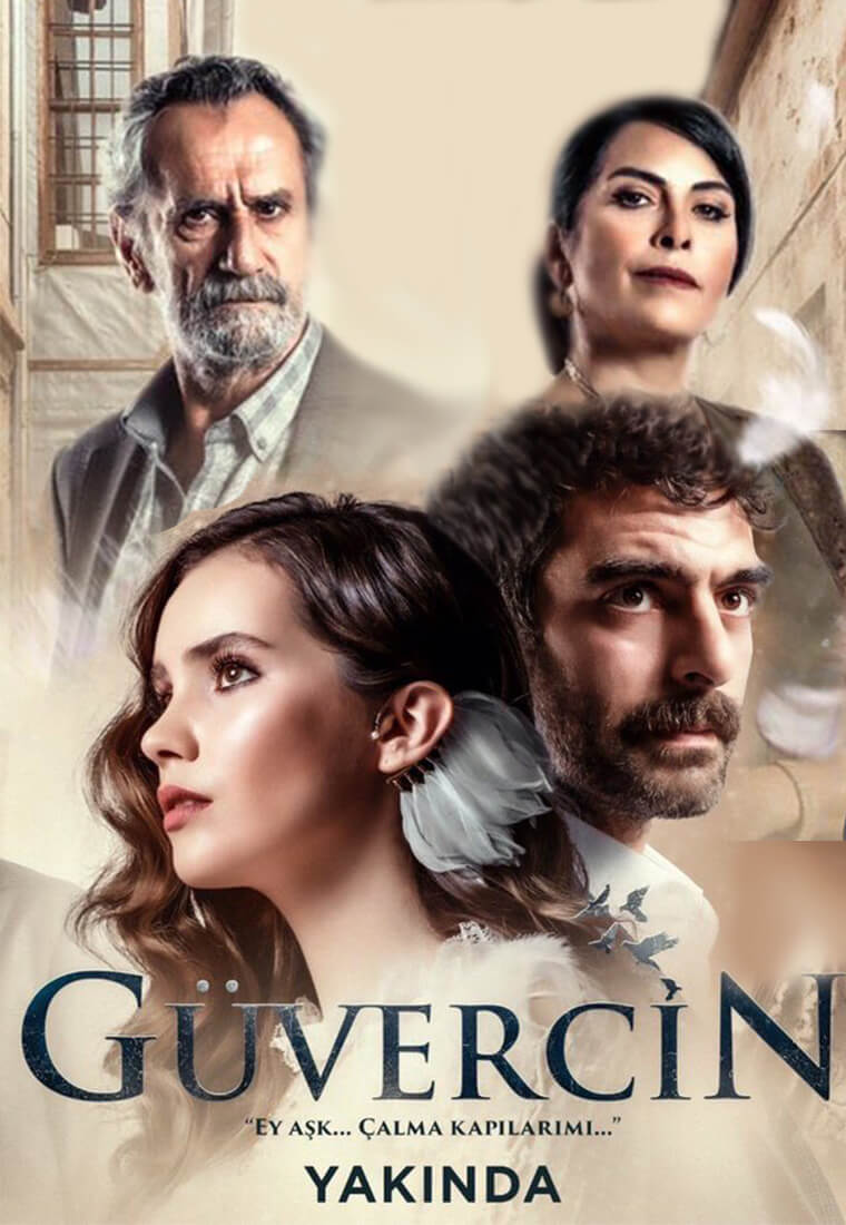 Турецкий сериал Голубка Голубка
